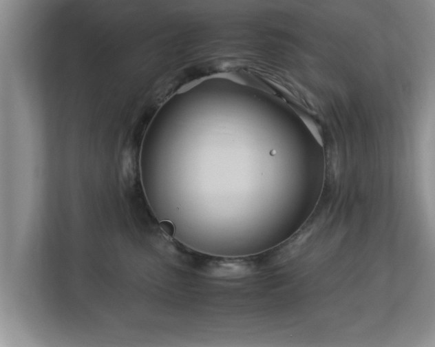 X0000113090475200909041152