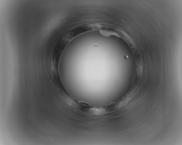 X0000113090477200909041153