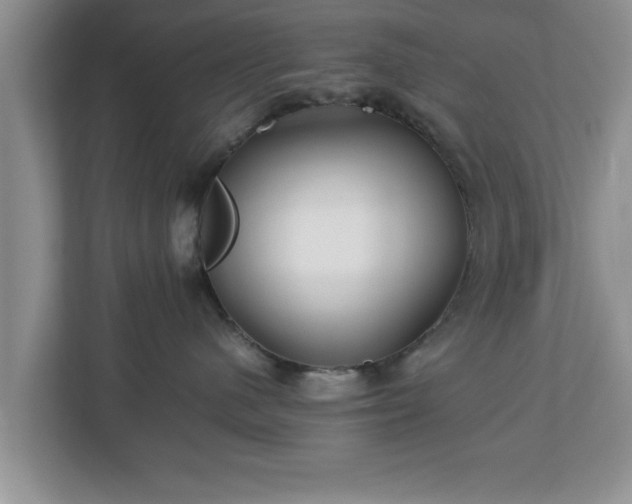X0000113090480200909041153