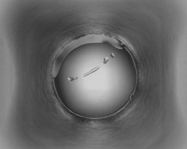 X0000113090481200909041152