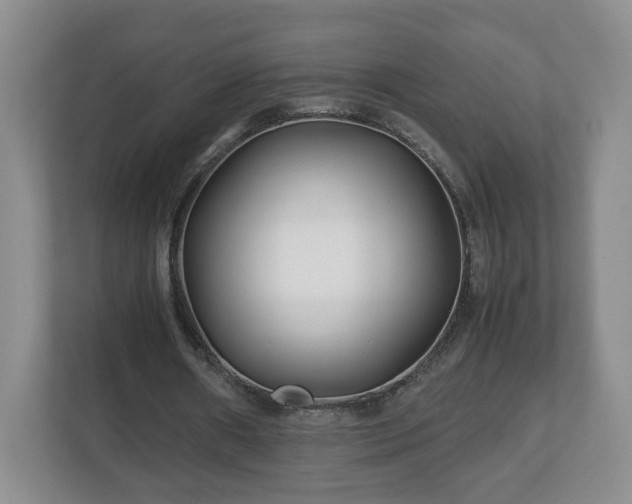 X0000113090482200909041152