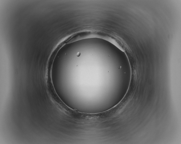 X0000113090484200909041152