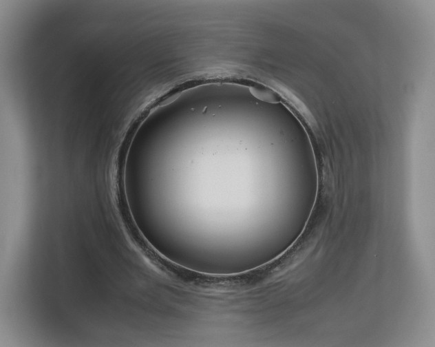 X0000113090485200909041152