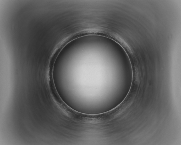 X0000113090486200909041152