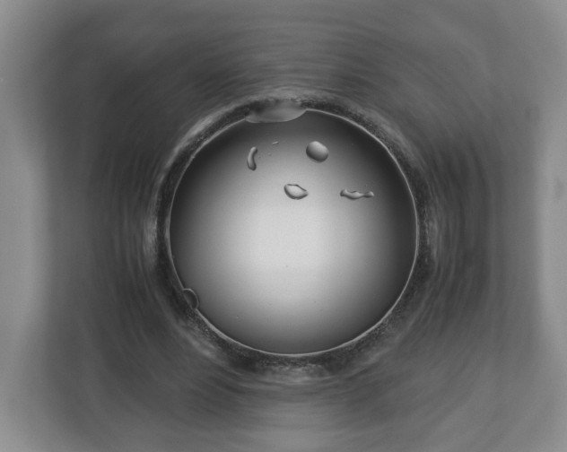 X0000113090488200909041152