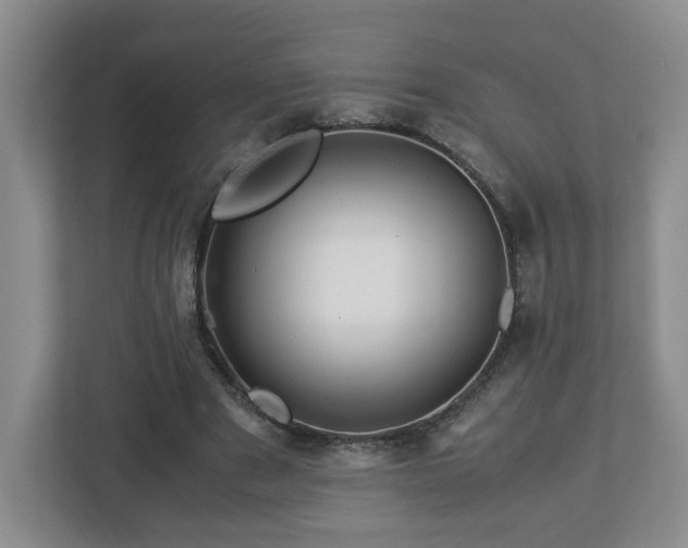 X0000113090489200909041152
