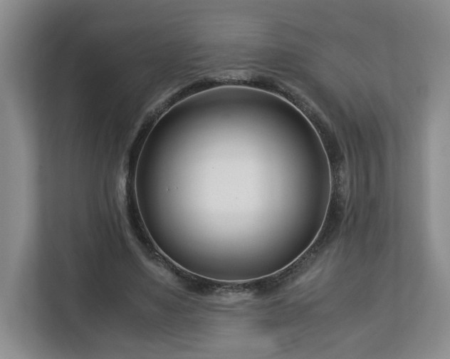 X0000113090491200909041152