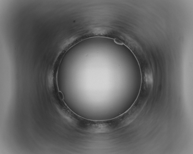 X0000113090492200909041152