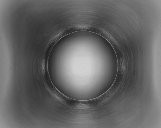 X0000113090494200909041152