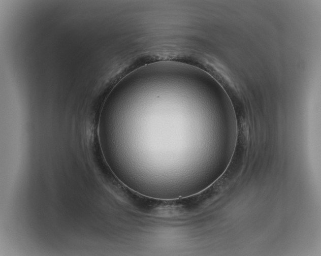 X0000113090499200909041152