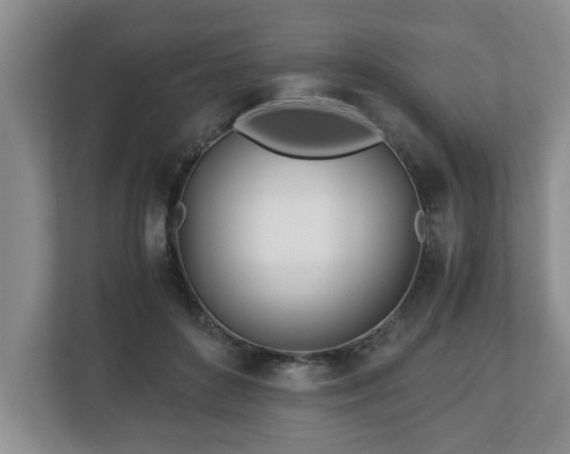 X0000113090504200909041152