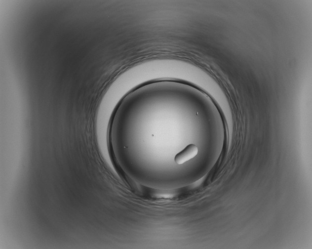 X0000113090505200909041152