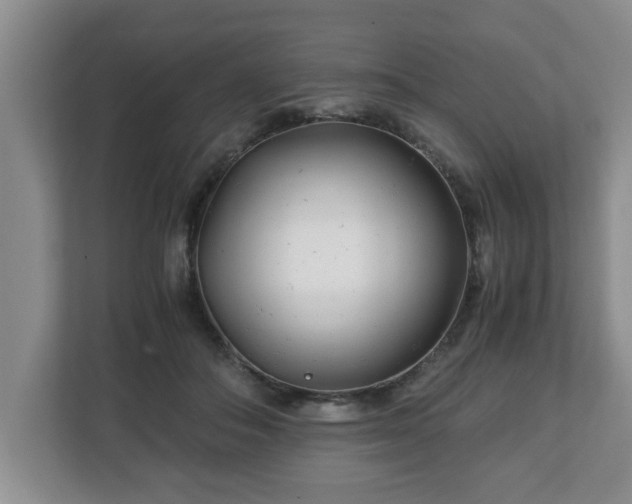 X0000113090506200909041152