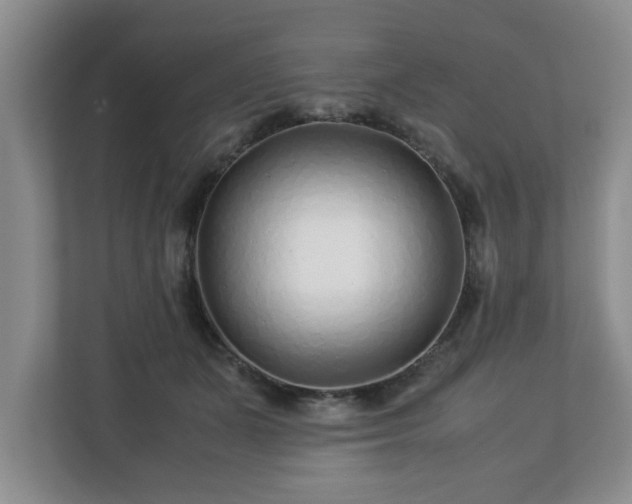 X0000113090511200909041152