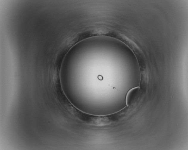 X0000113090517200909041151