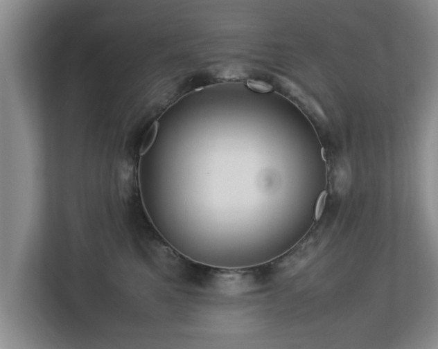 X0000113090521200909041151