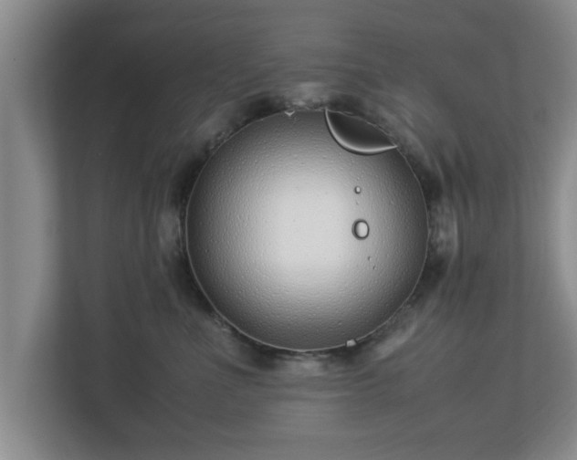 X0000113090523200909041151