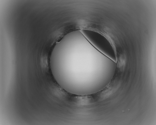 X0000113090524200909041151