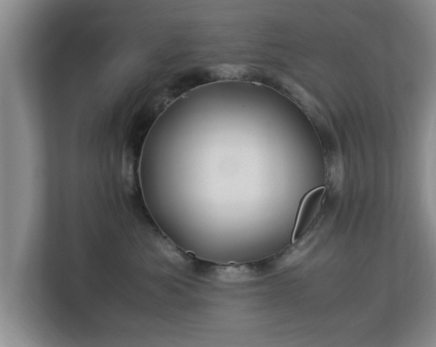 X0000113090525200909041151