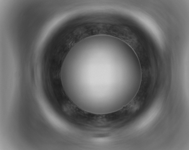 X0000113090526200909041151