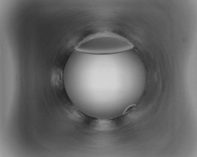 X0000113090528200909041151