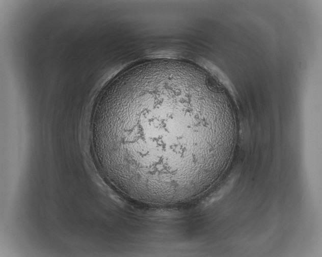 X0000113090529200909041151