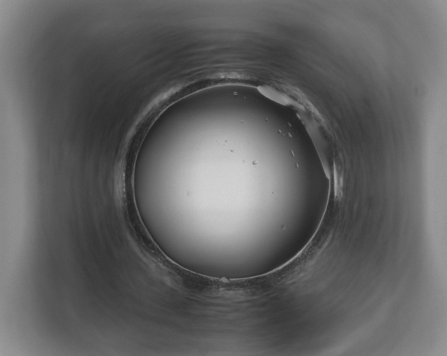 X0000113090531200909041151
