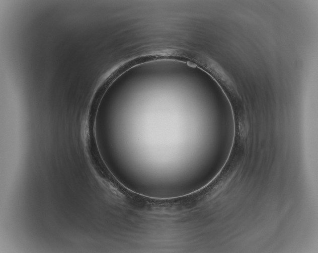 X0000113090532200909041151