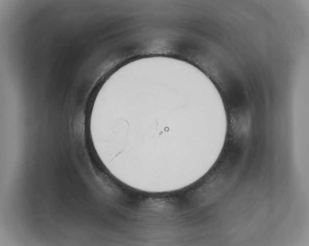 X0000113090534200909041151