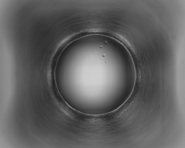 X0000113090535200909041151