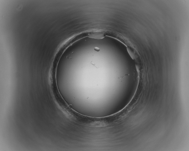X0000113090536200909041151