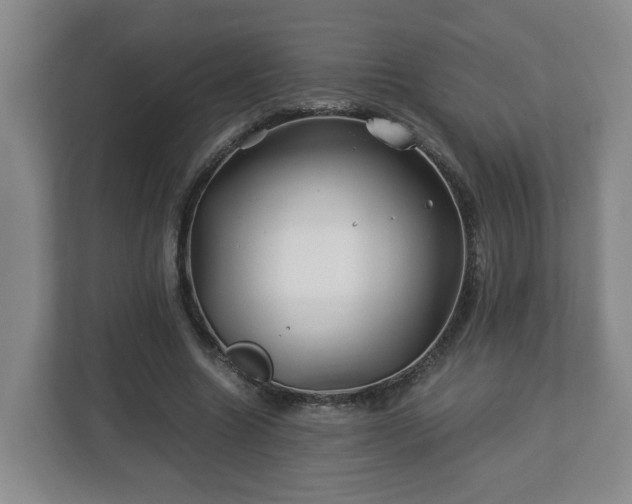 X0000113090538200909041151