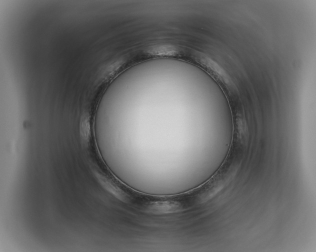 X0000113090541200909041151