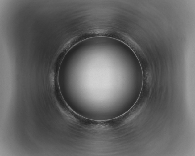 X0000113090542200909041151