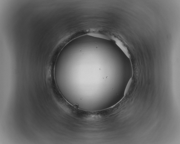 X0000113090543200909041151