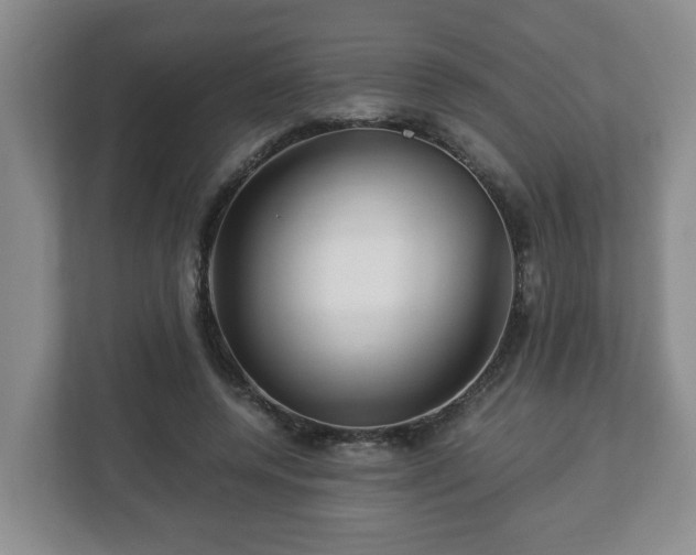 X0000113090544200909041151