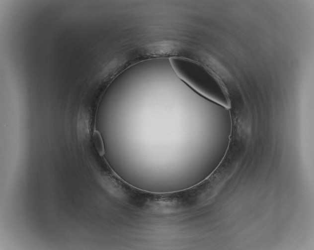 X0000113090546200909041151