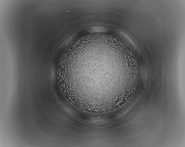 X0000113090549200909041151