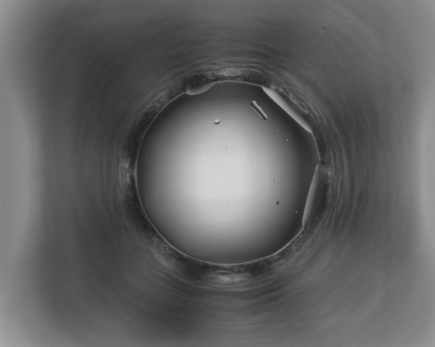 X0000113090555200909041151