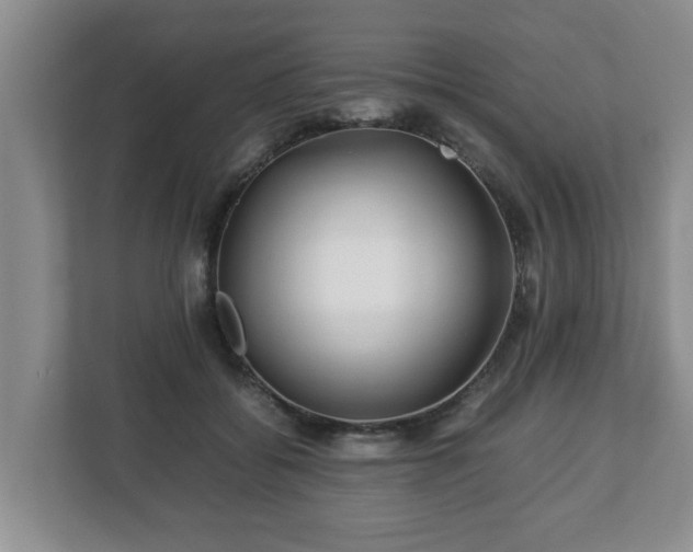 X0000113090556200909041151