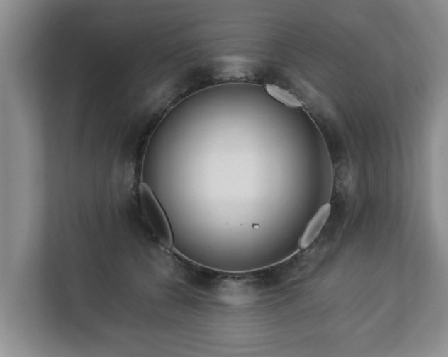 X0000113090560200909041151