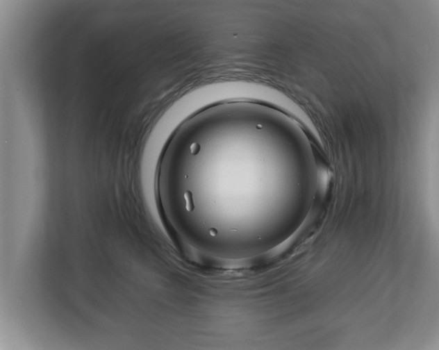 X0000113090566200909041151