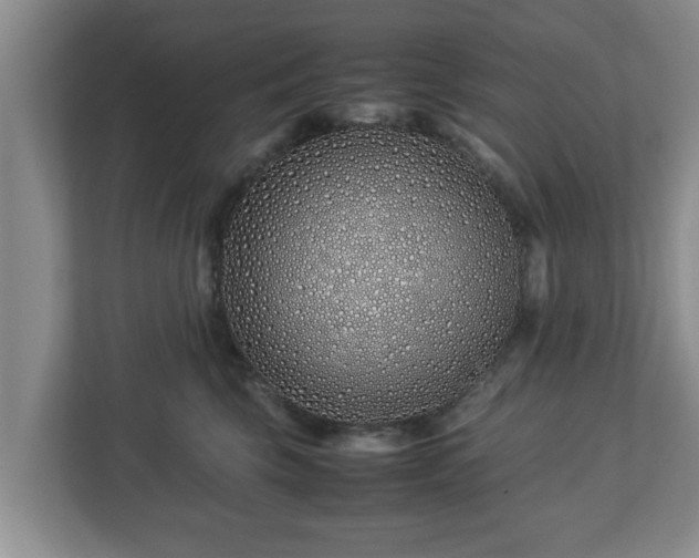 X0000113090569200909041151