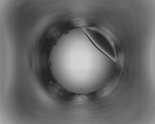X0000113090572200909041151