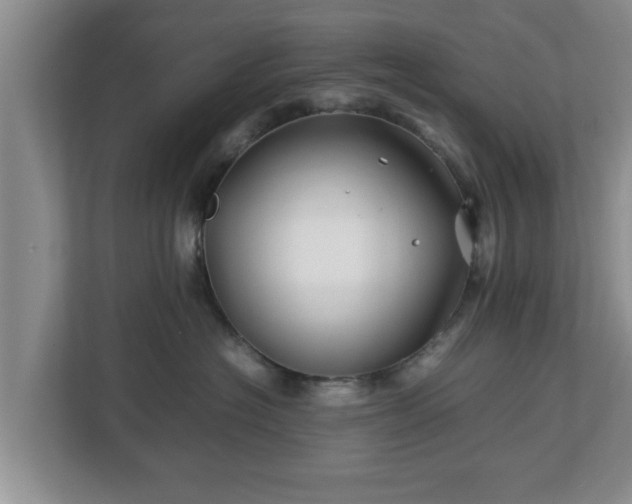 X0000113090574200909041151