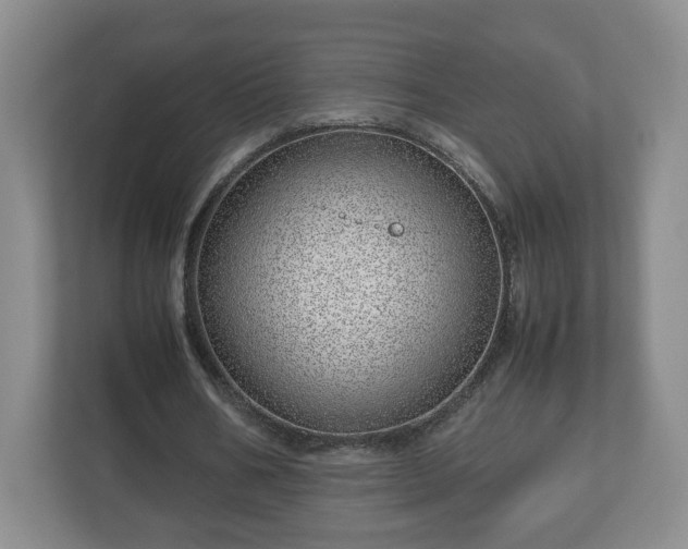 X0000113090578200909041151
