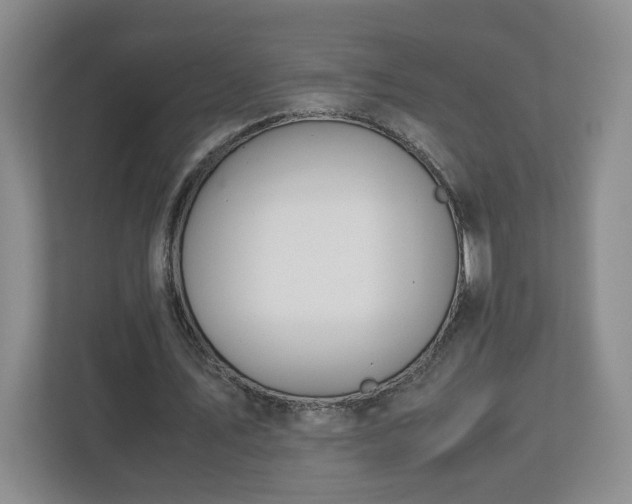 X0000113090579200909041151