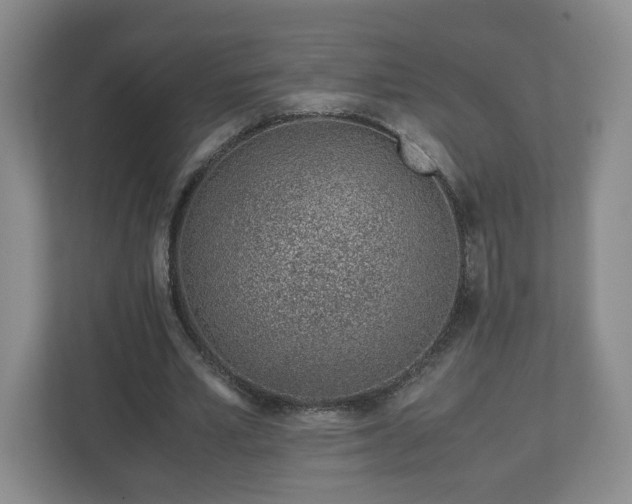 X0000113090581200909041151
