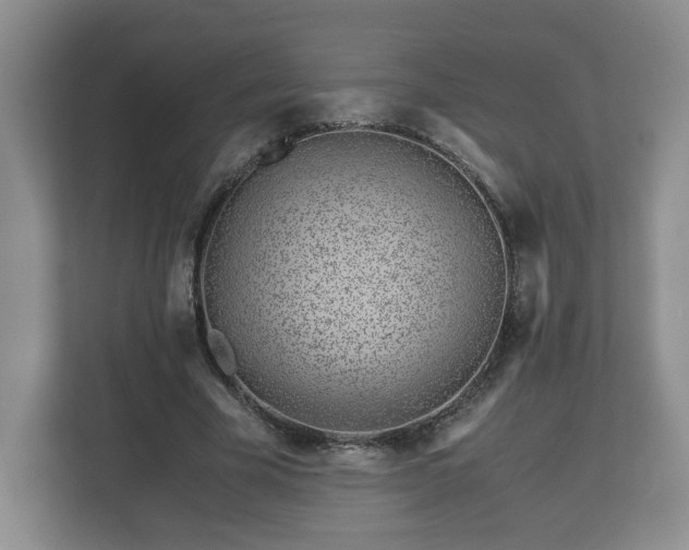 X0000113090585200909041151