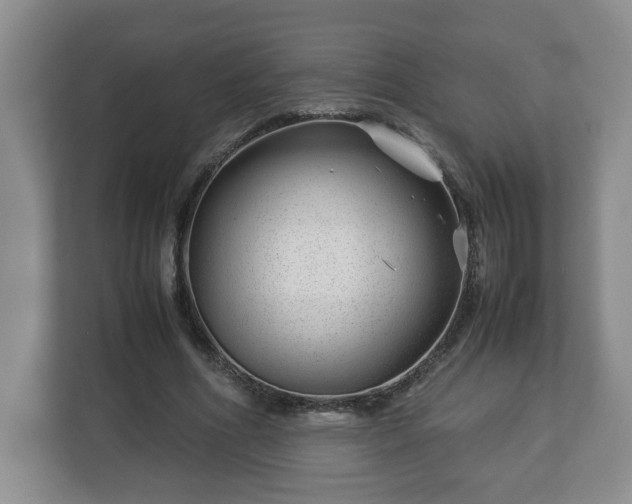 X0000113090586200909041151